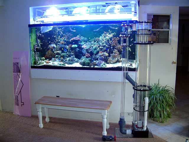 aquarium skimmer not working