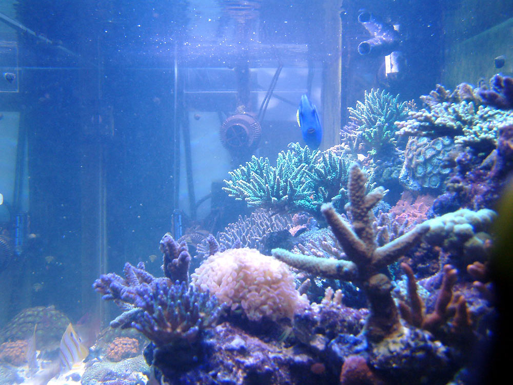 endoftank_1000.jpg