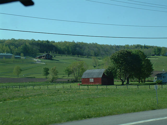 farm1 - Pictures from New York (8 megs of pictures)