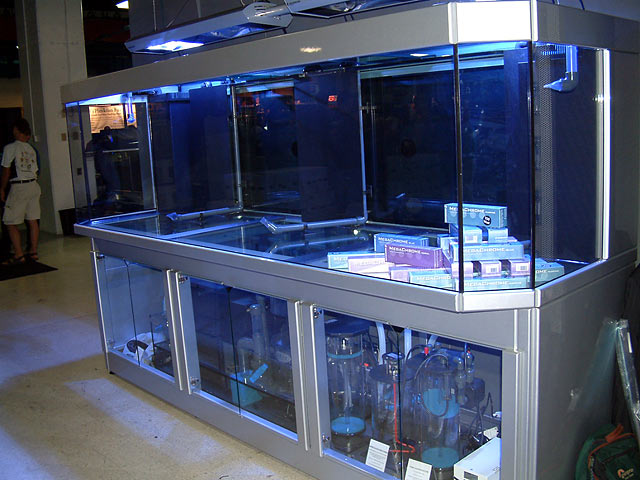 starfire aquariums best accent