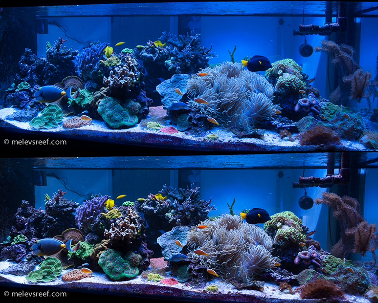 comparison-fts