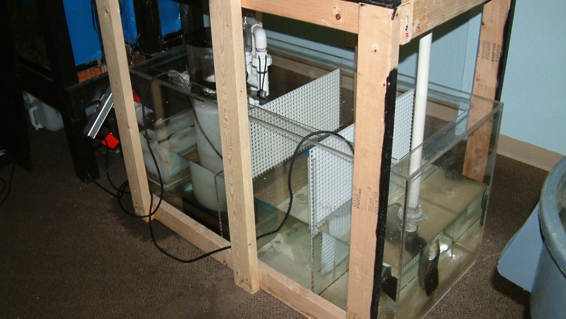 franks-lfs-sump-hdr