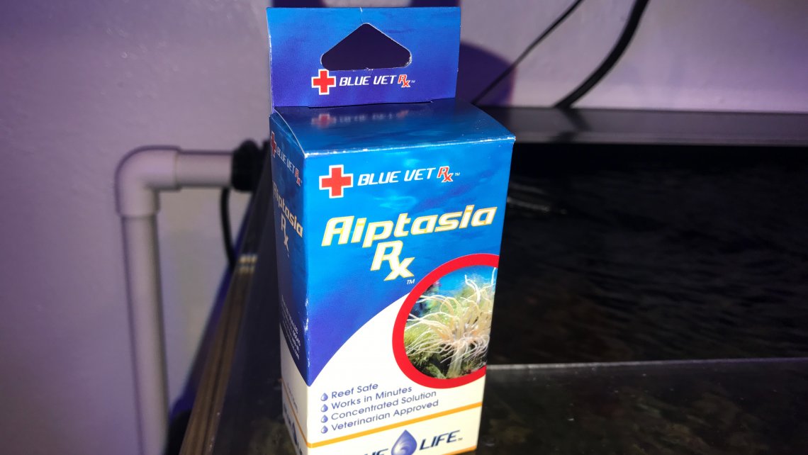 aiptasia-rx