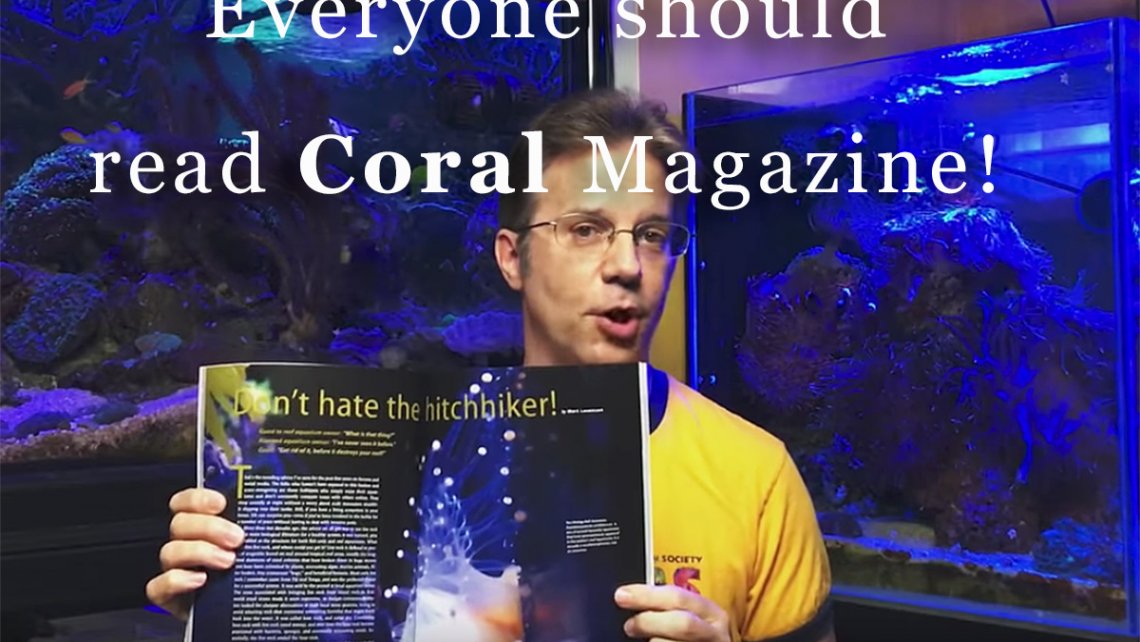 coral-mag-hdr
