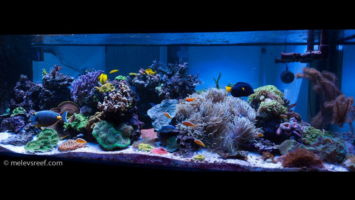 fts-1-19-2018-hdr.jpg