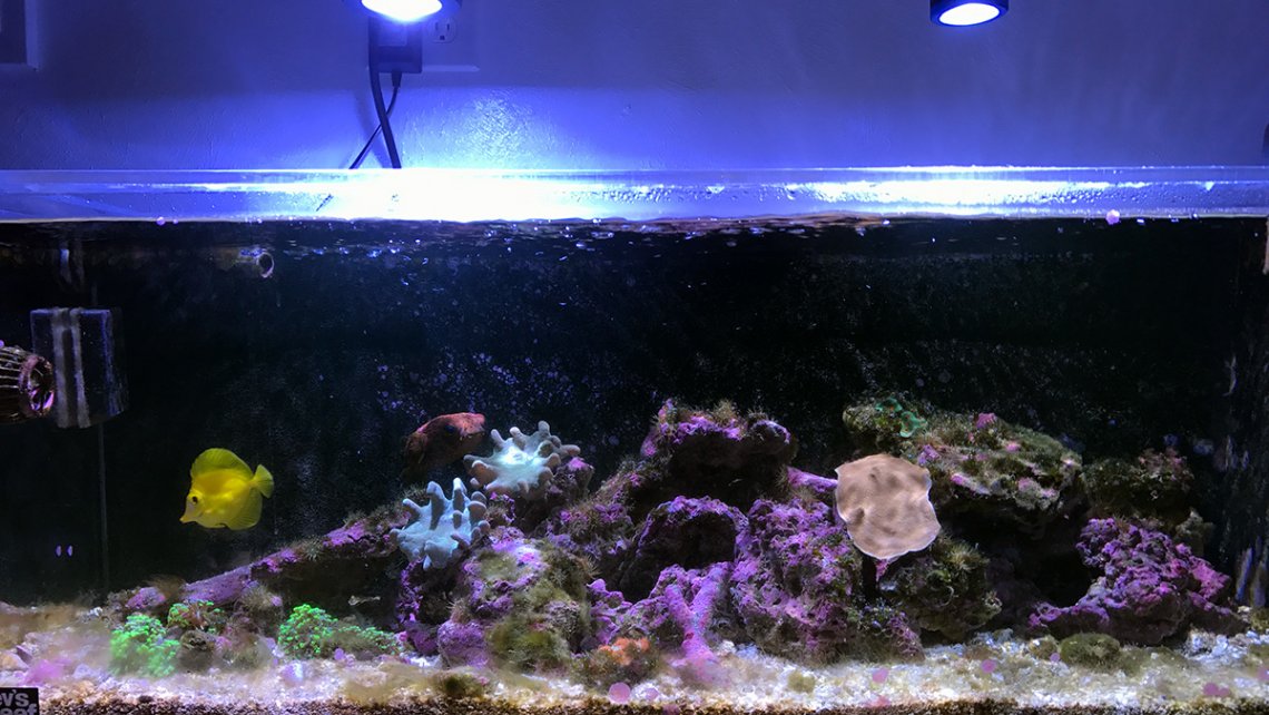 fts-frag-system