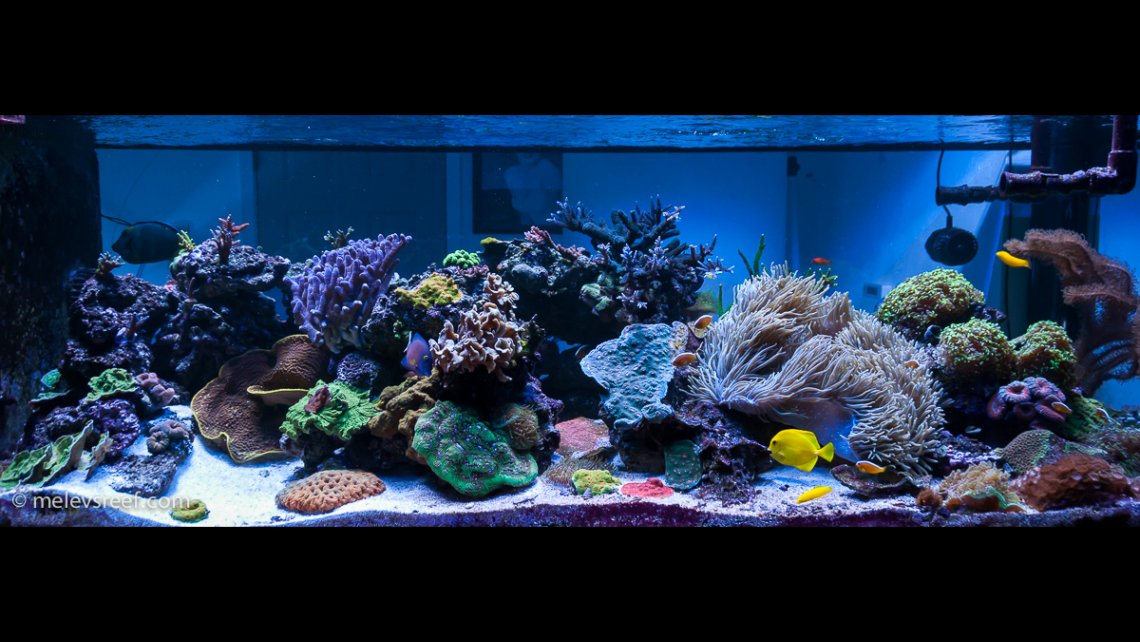 fts_Jan102018-hdr 