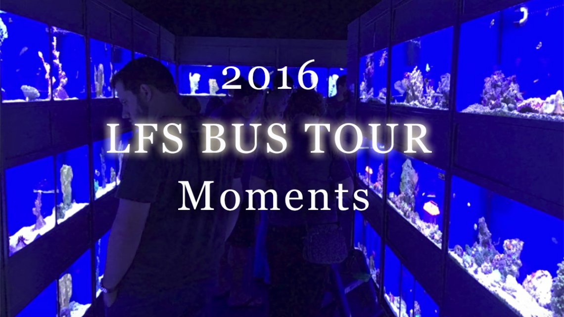 lfs-moments-hdr