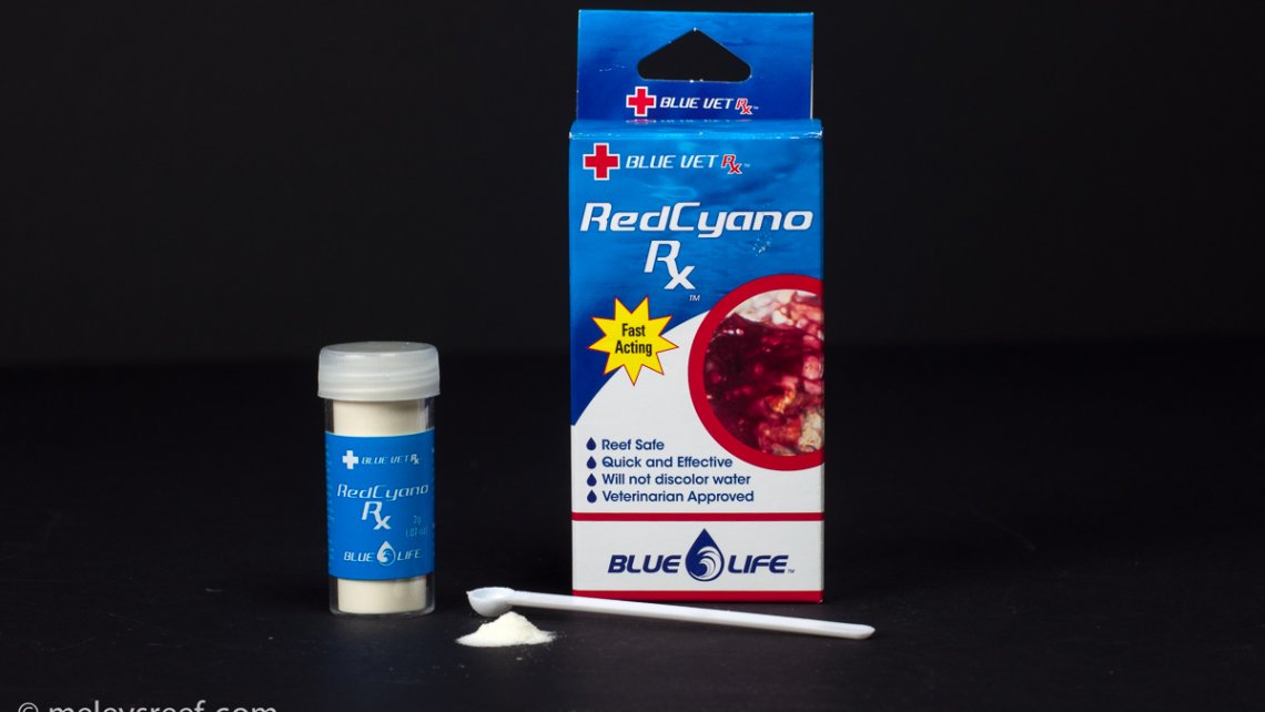 redcyano-rx-header