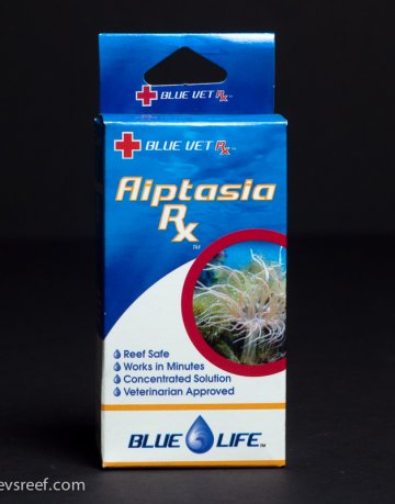 Aiptasia Rx