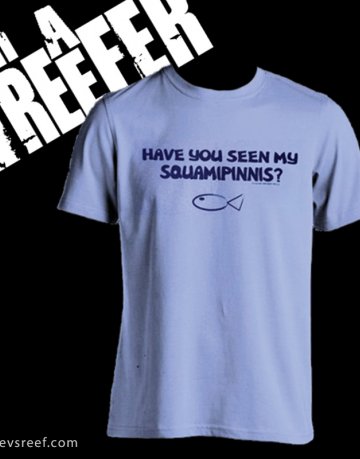 ima-squammi1