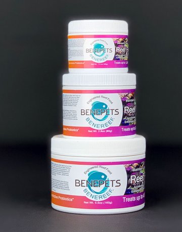 benereef-3sizes