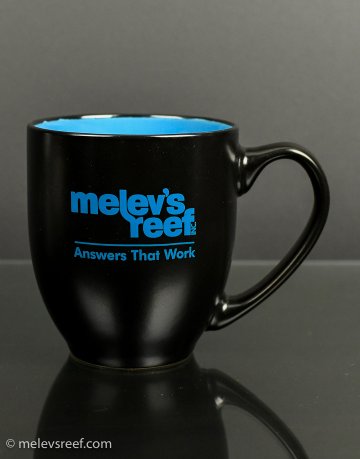 The Mug!