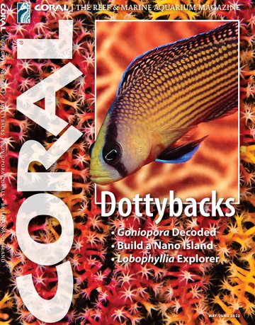 Coral Magazine May June 2022