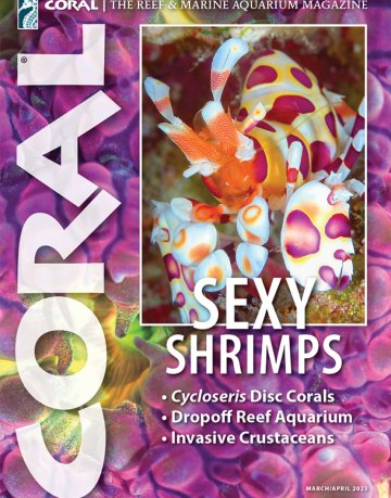 Coral Magazine March-April 2023